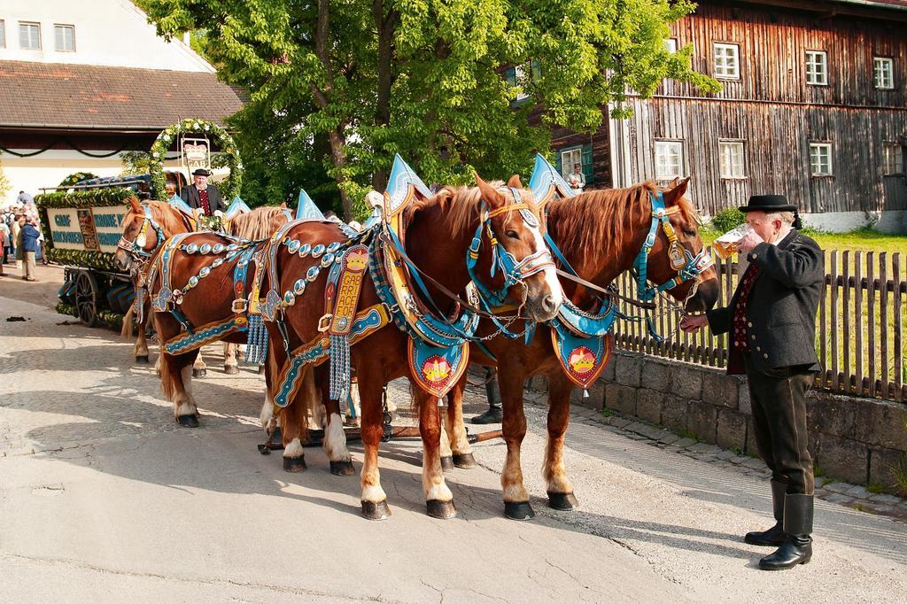 Ferienwohnung Cornelia Bad Birnbach Bagian luar foto